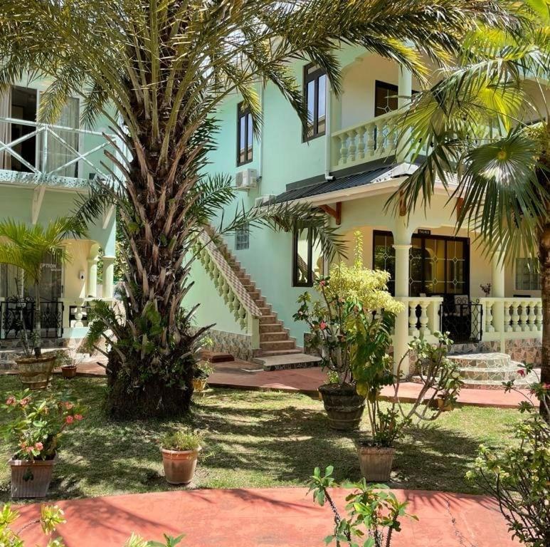 Green Palm Self Catering Anse aux Pins Esterno foto